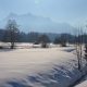 Immunsystem stärken Winter