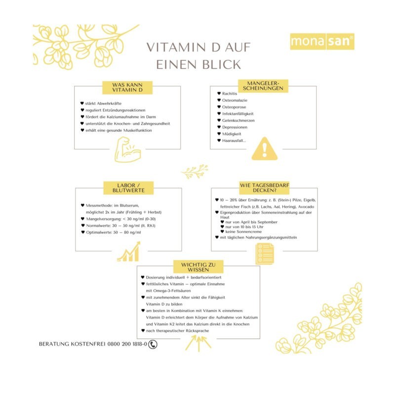 Infografik Vitamin D Produktbild