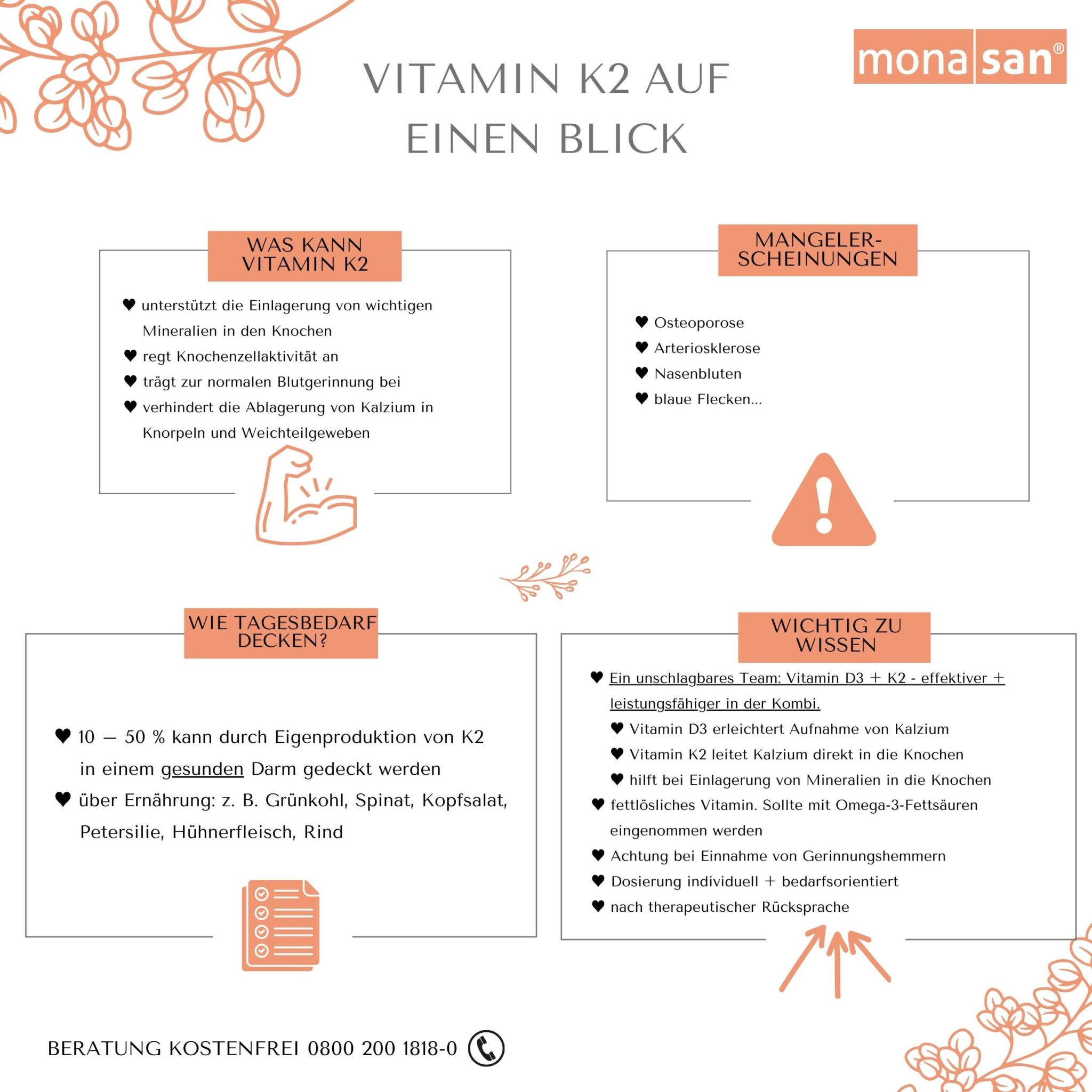 Infografik Vitamin K2