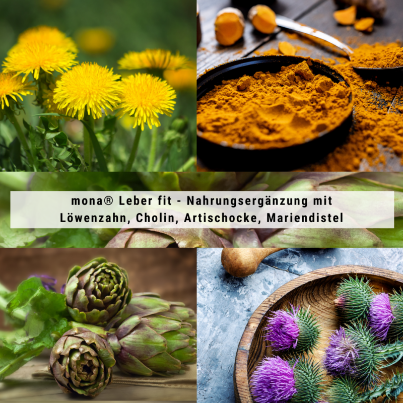 mona<sup>®</sup> Leber fit <p class="titel-zusatz">60 Kapseln<br>(1 Monatspackung)</p> - Image 3
