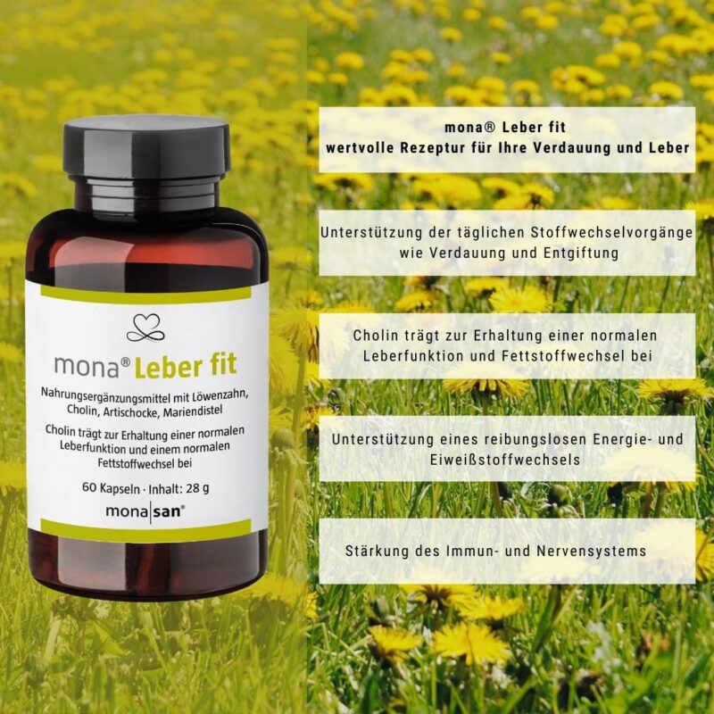 mona<sup>®</sup> Leber fit <p class="titel-zusatz">60 Kapseln<br>(1 Monatspackung)</p> - Image 2