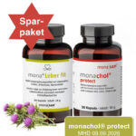Fettstoffwechsel Sparpaket | mona® eber fit Kapseln | monasan®