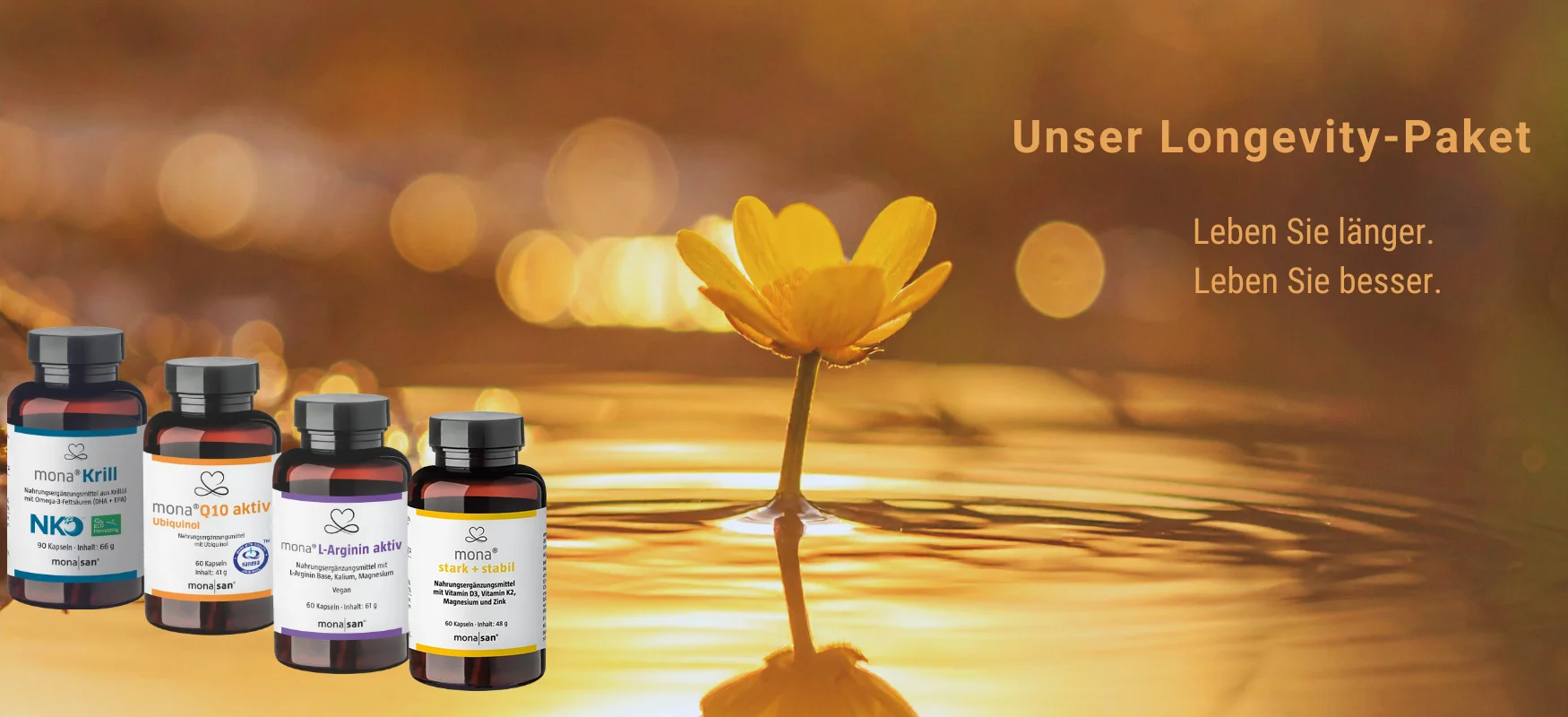 Unser Longevity-Paket